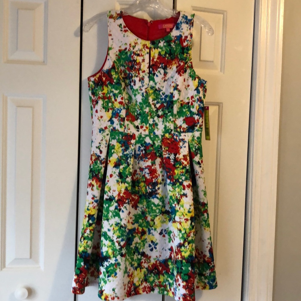 Catherine Catherine Malandrino floral dress